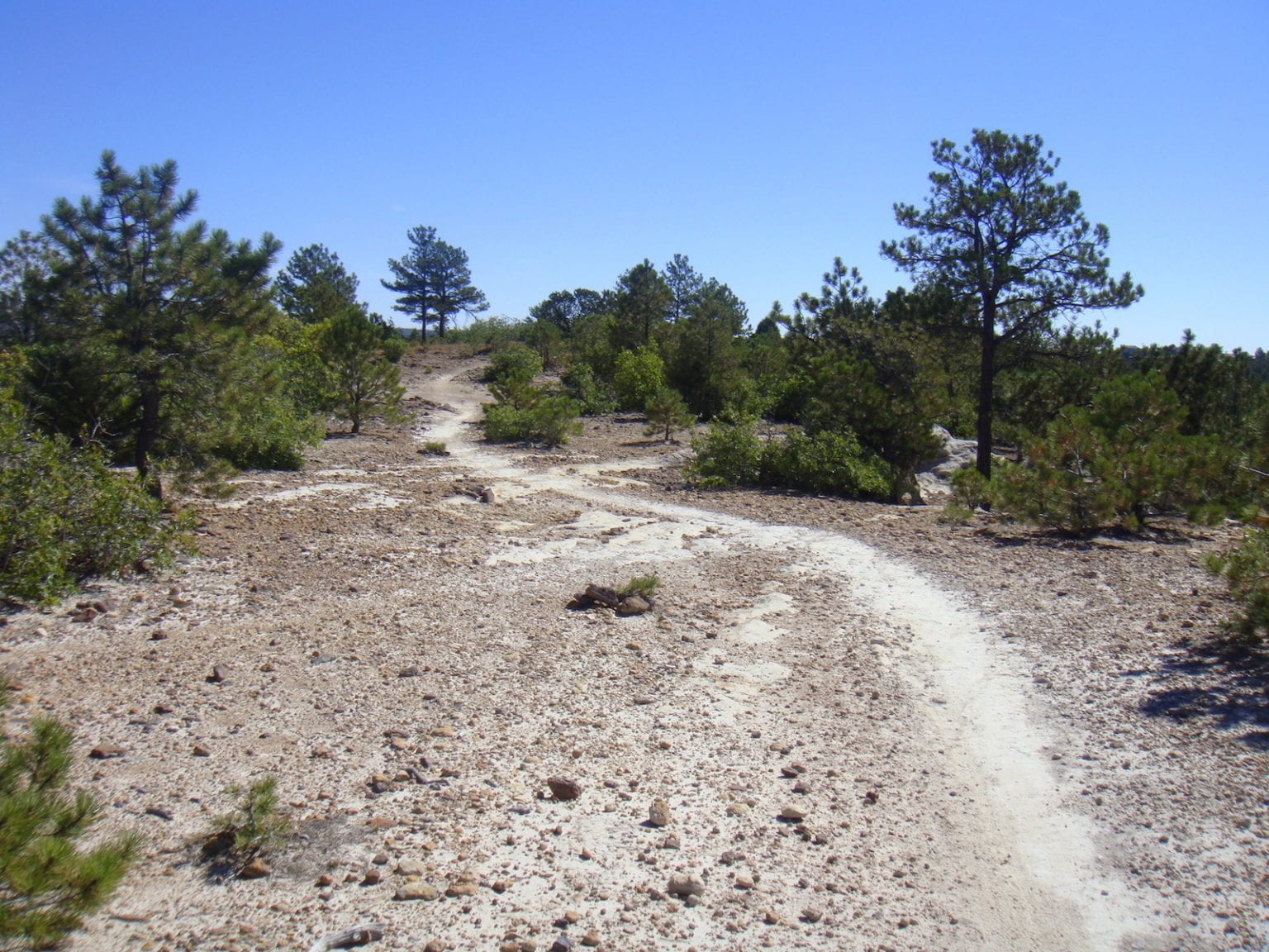 Ute Valley Park Colorado Springs, CO