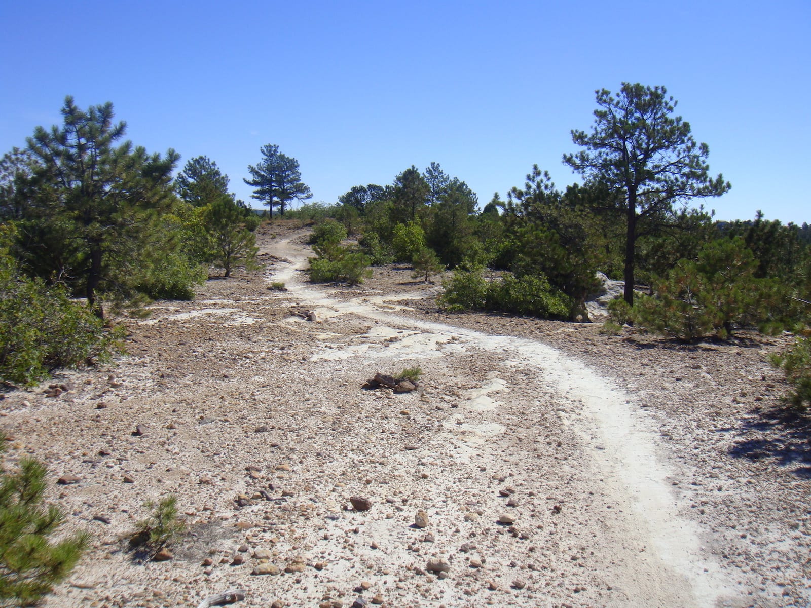 Ute Valley Park, CO