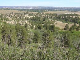 Ute Valley Park, CO