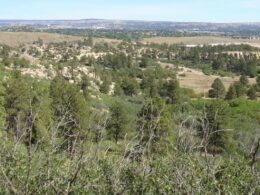 Ute Valley Park, CO