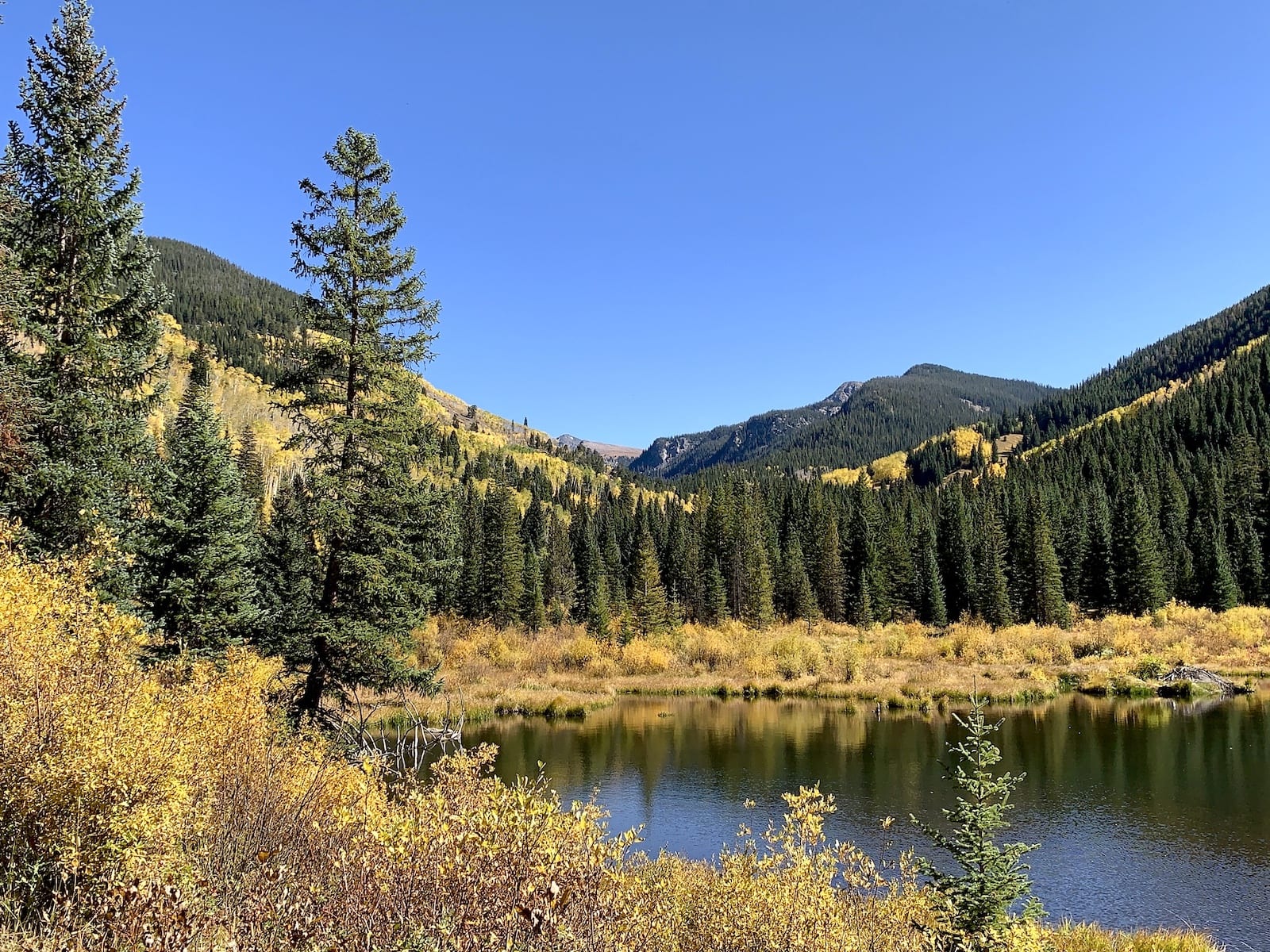 White River Forest, Colorado
