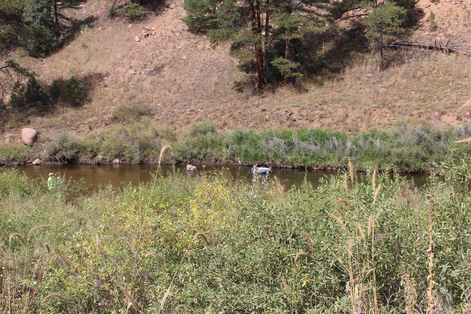 South Platte River Tubing Deckers Colorado