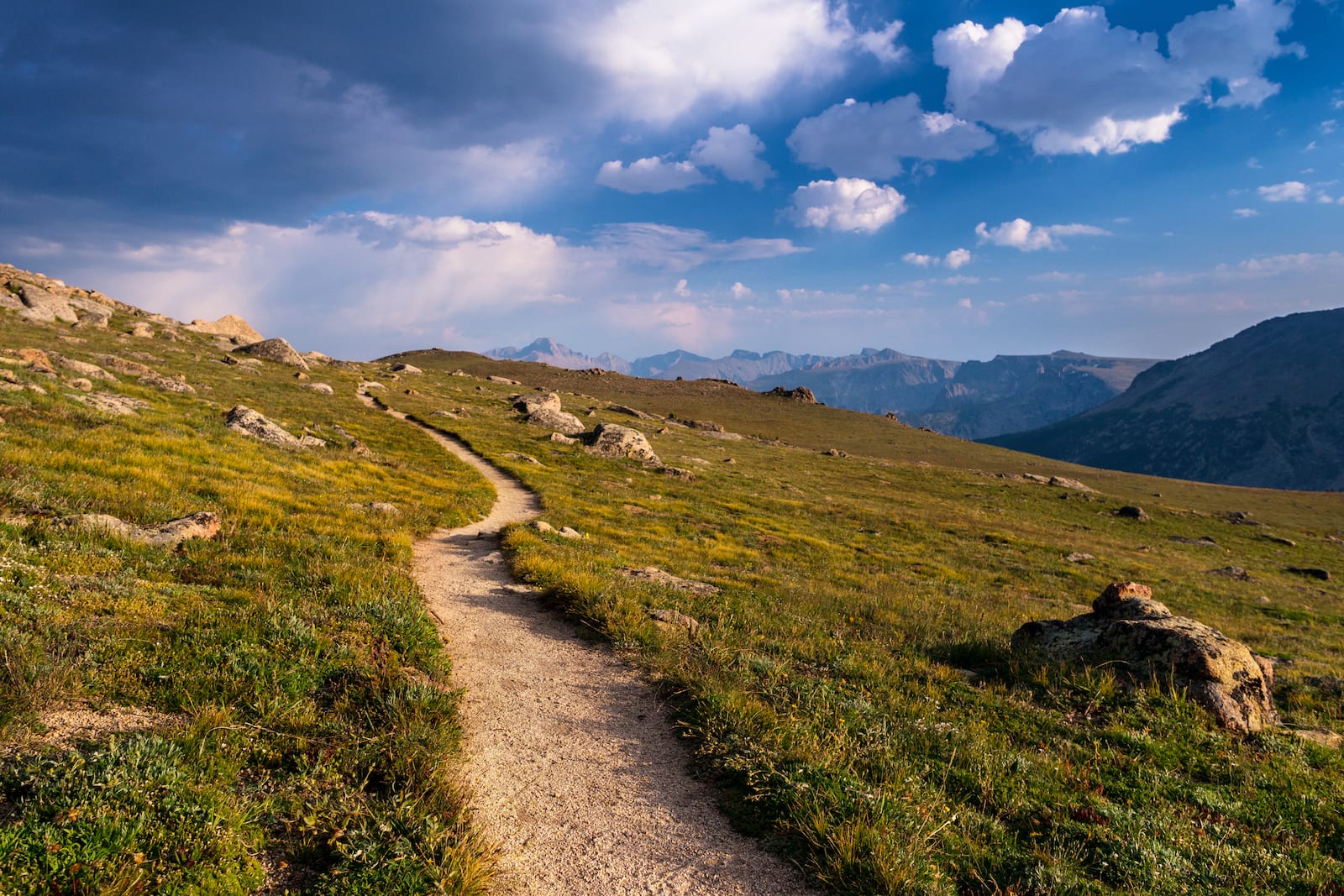 Colorado RMNP Hiking Trail Alpine Tundra