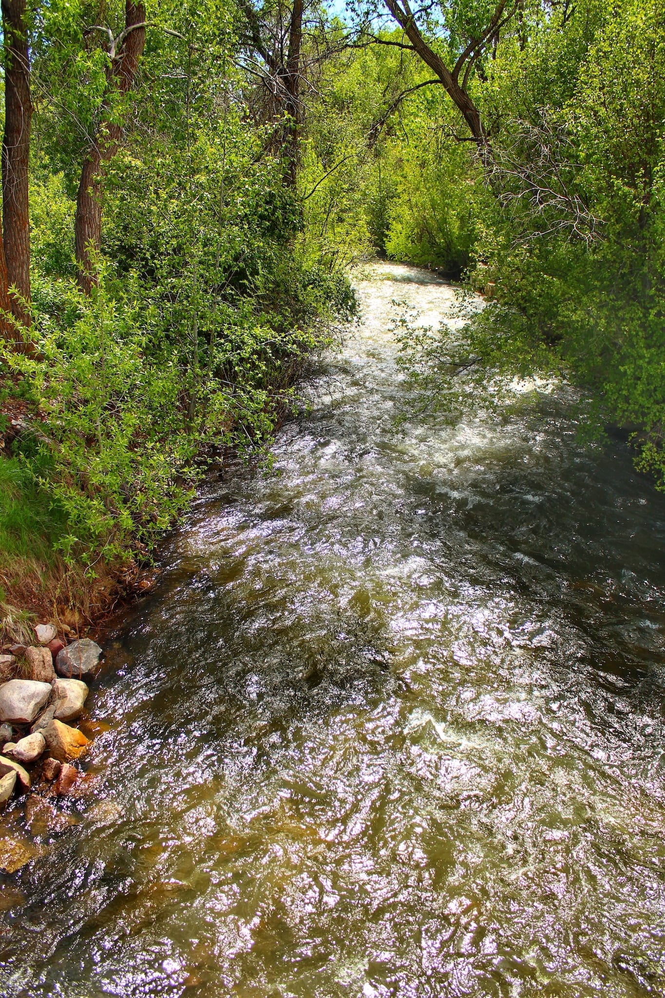 Mancos River Colorado