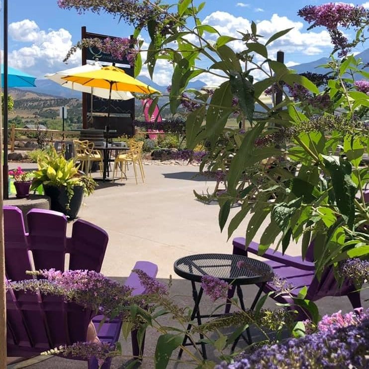 root and vine market paonia colorado