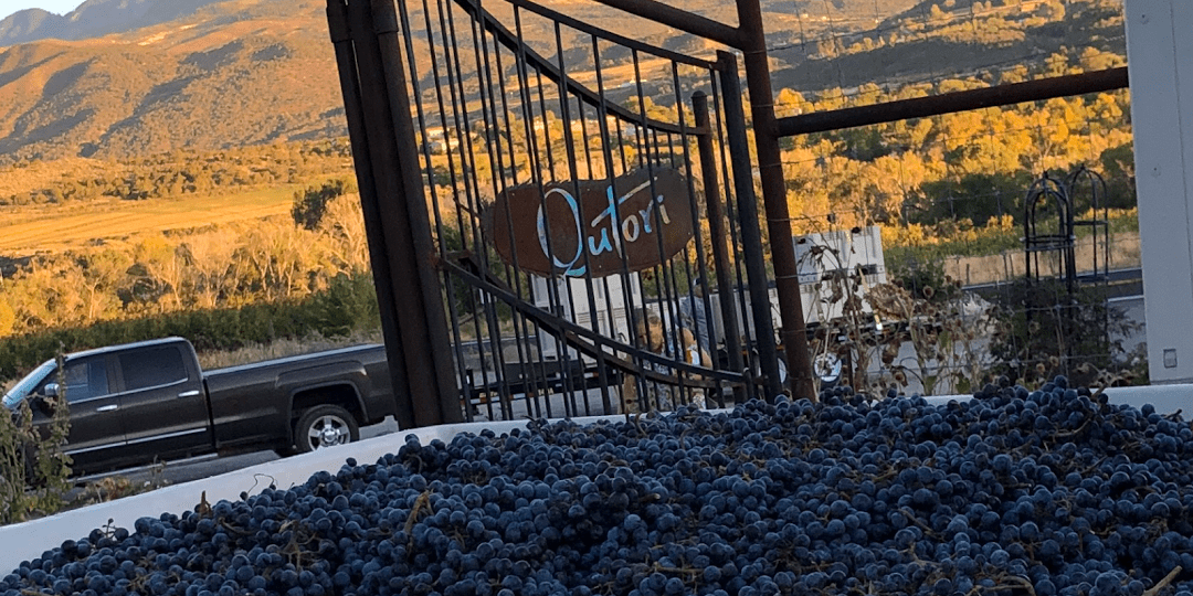 qutori wines paonia colorado