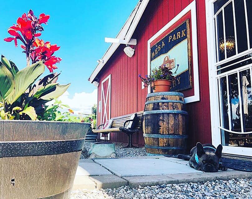 red barn at mesa park vineyards