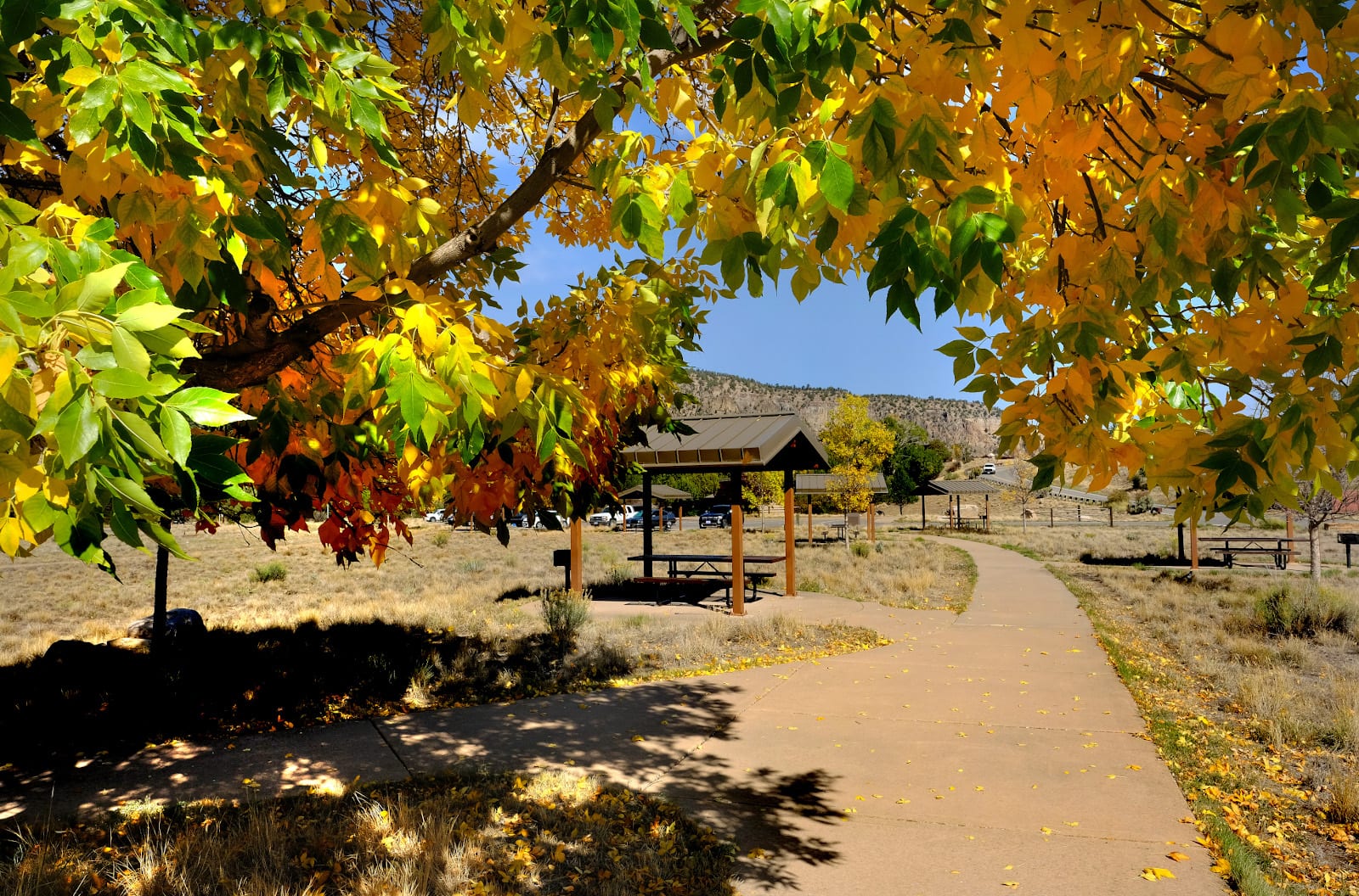 Ridgway State Park Pa-Co-ChuPuc Campground Colorado