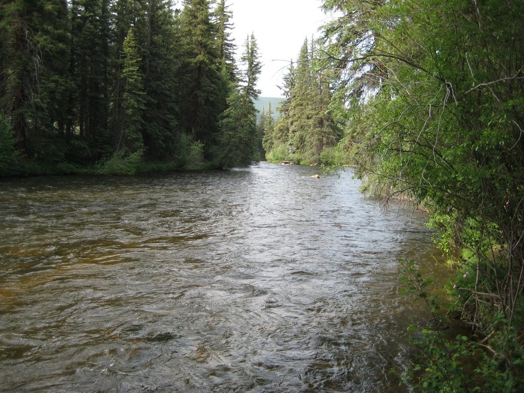 Taylor River Almont Colorado