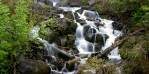 Treasure Falls Waterfall Pagosa Springs Colorado