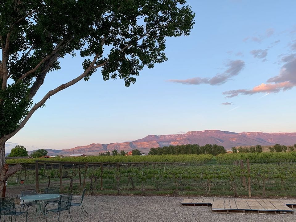 views from mesa park vineyards
