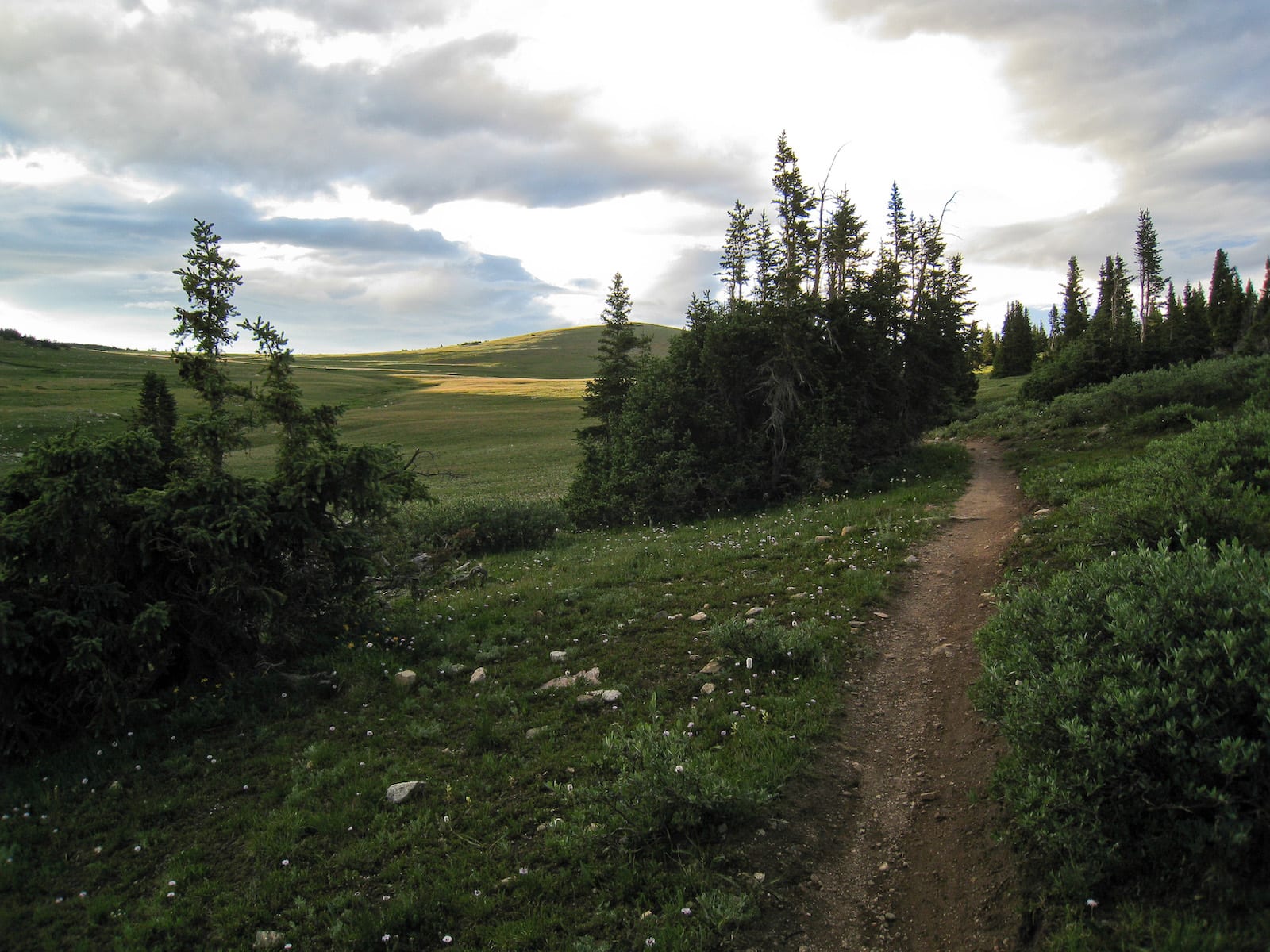 Georgia Pass, CO