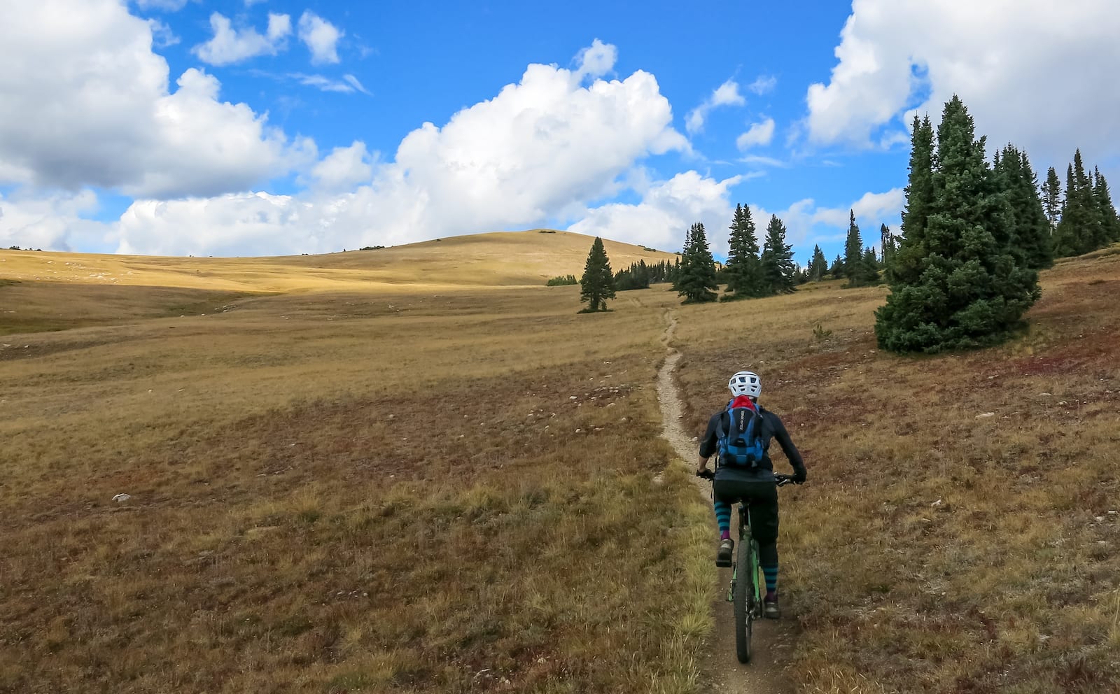 Biking on Georgia Pass, CO