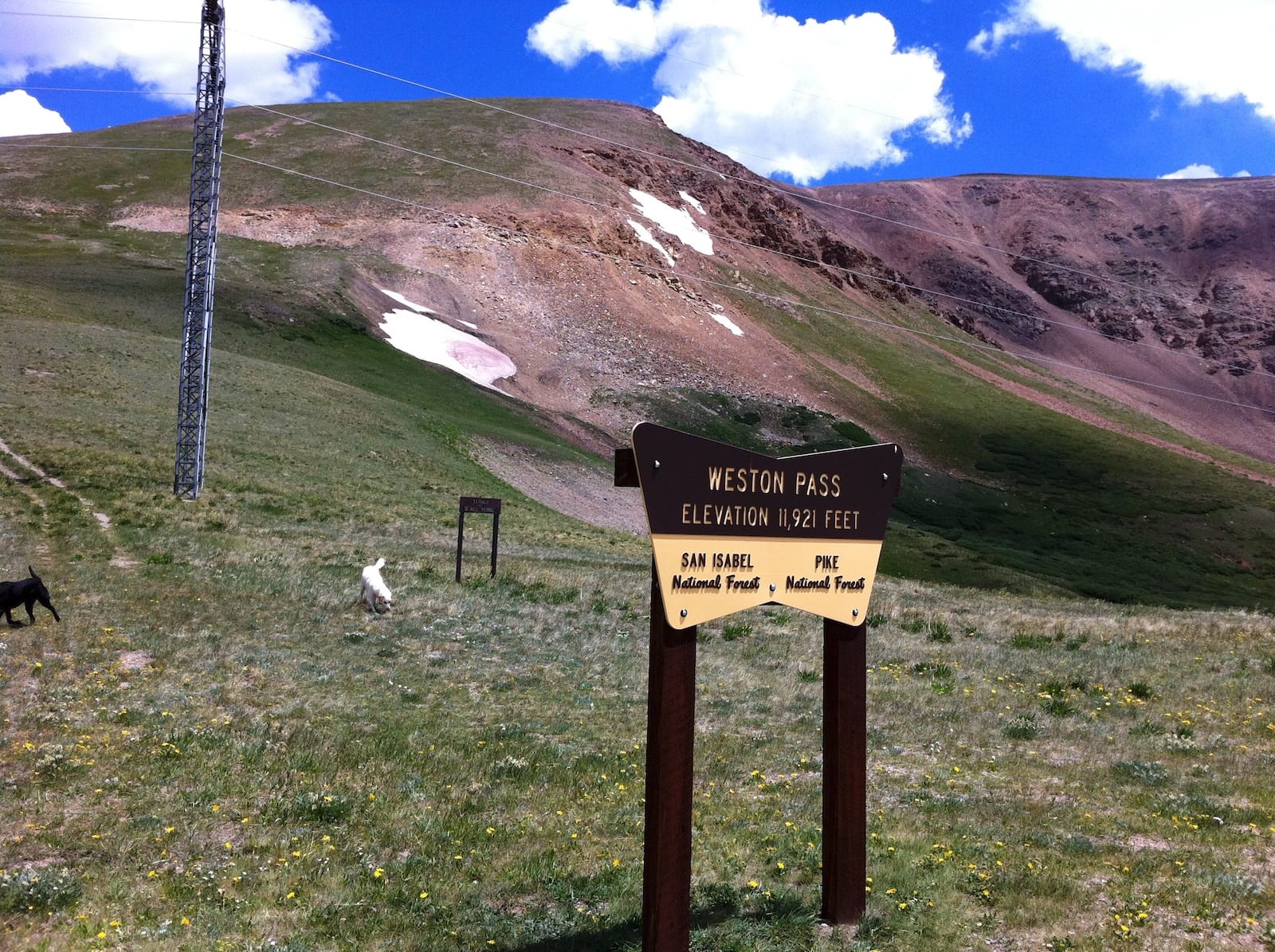 Weston Pass Road, CO