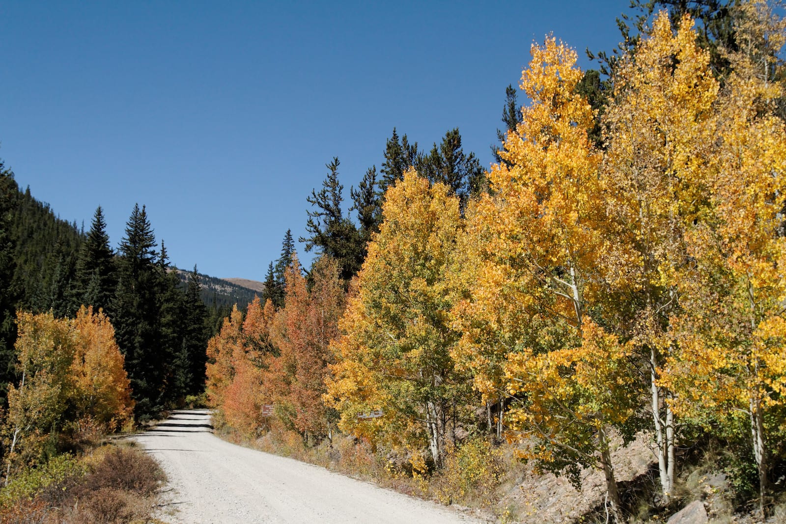Weston Pass Road, CO