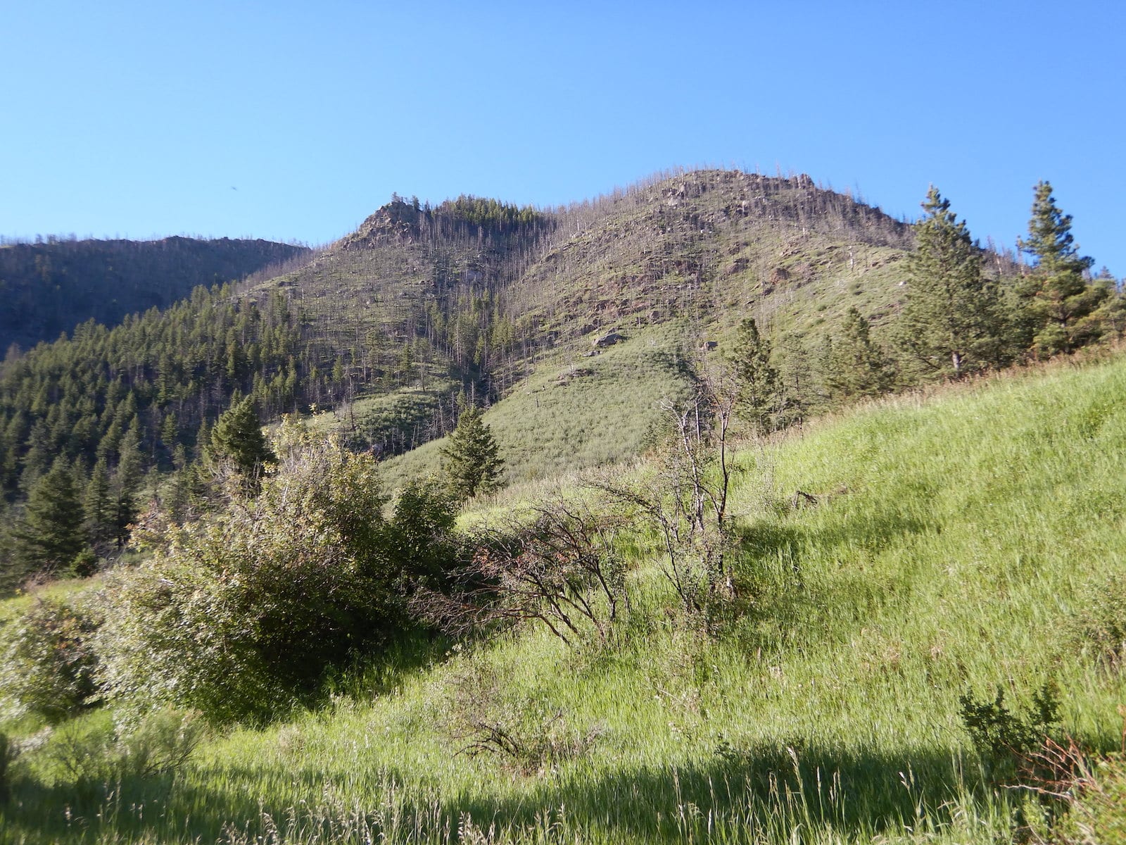 Ansel Watrous Campground Roosevelt National Forest Colorado