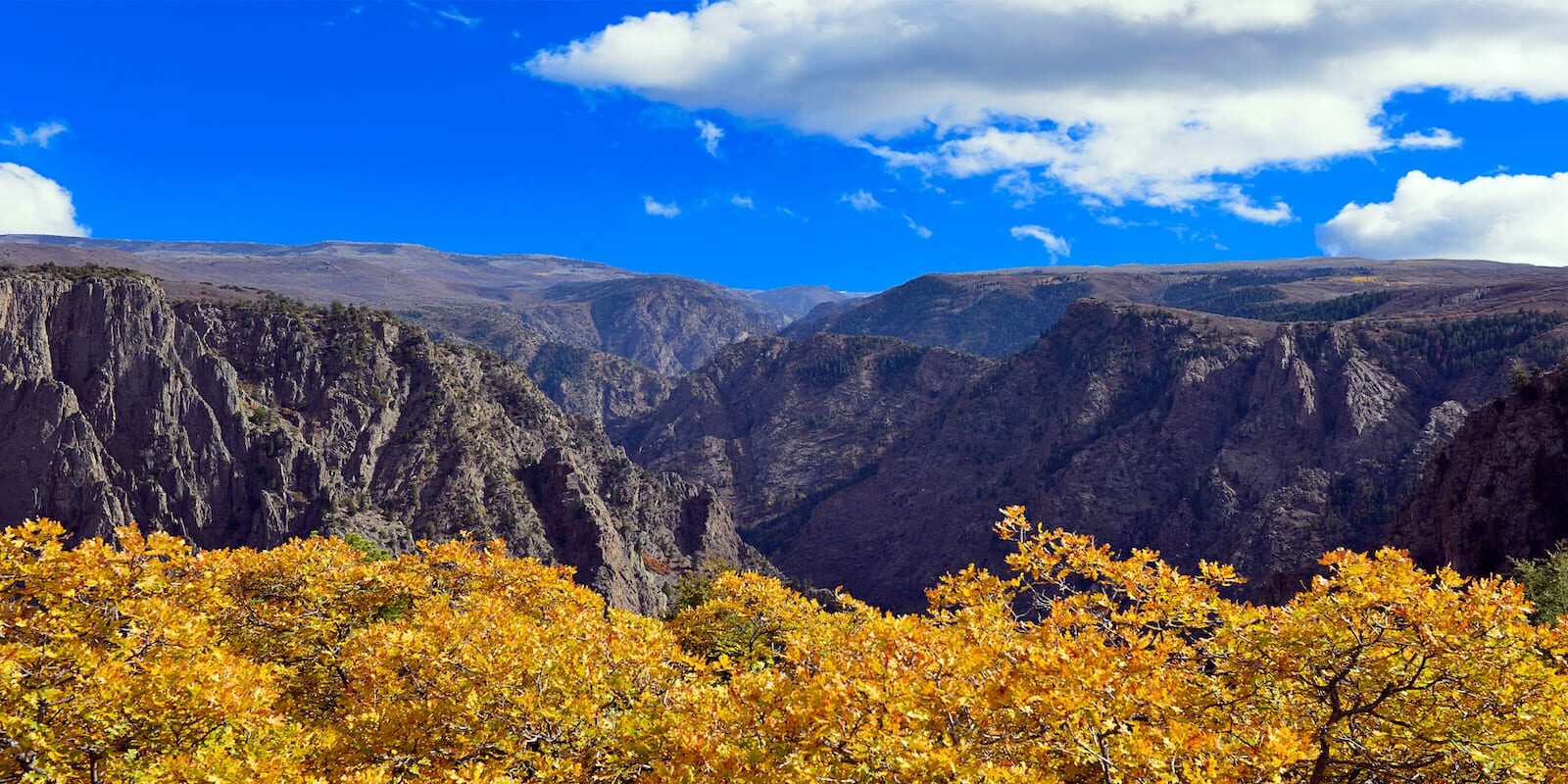 Black Canyon of the Gunnison National Park Autumn