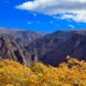 Black Canyon of the Gunnison National Park Autumn