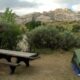 Tent Green River Campground Dinosaur National Monument Utah