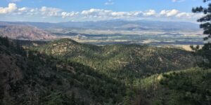 Tanner Trail San Isabel National Forest Canon City CO