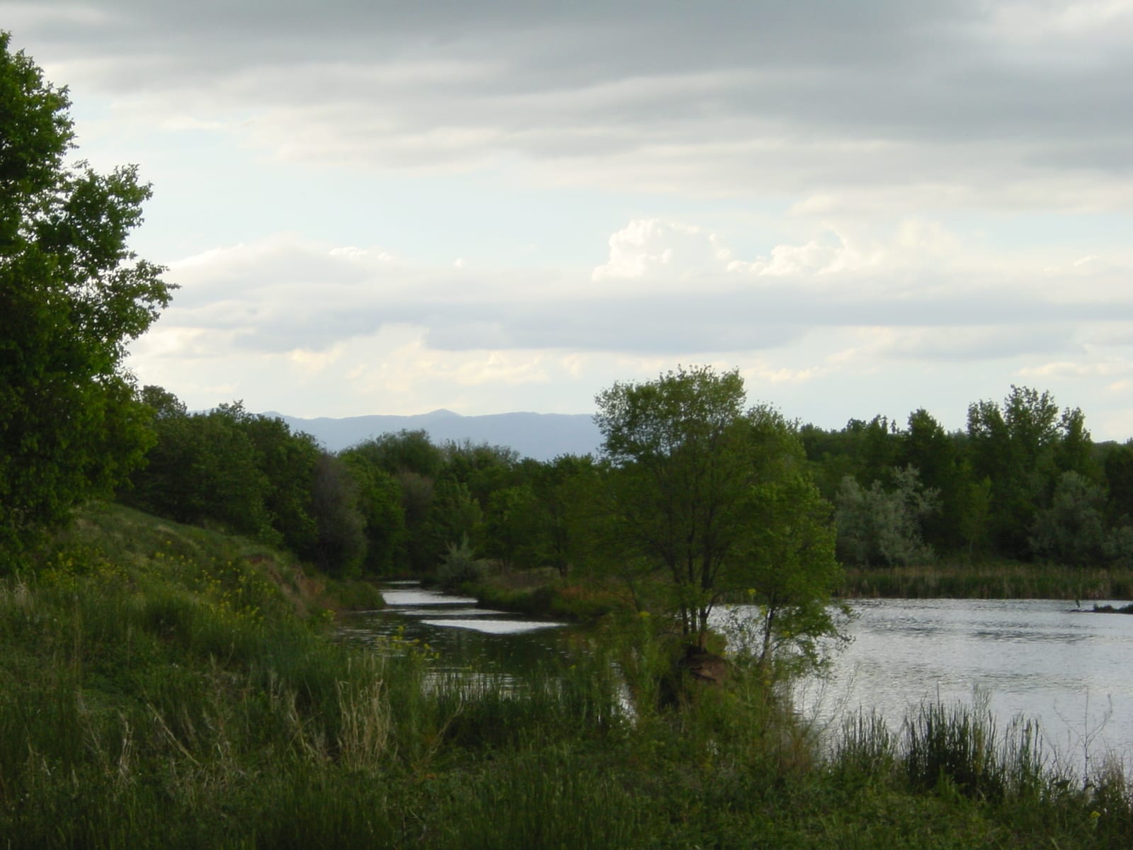 Fountain Creek Regional Park Pond