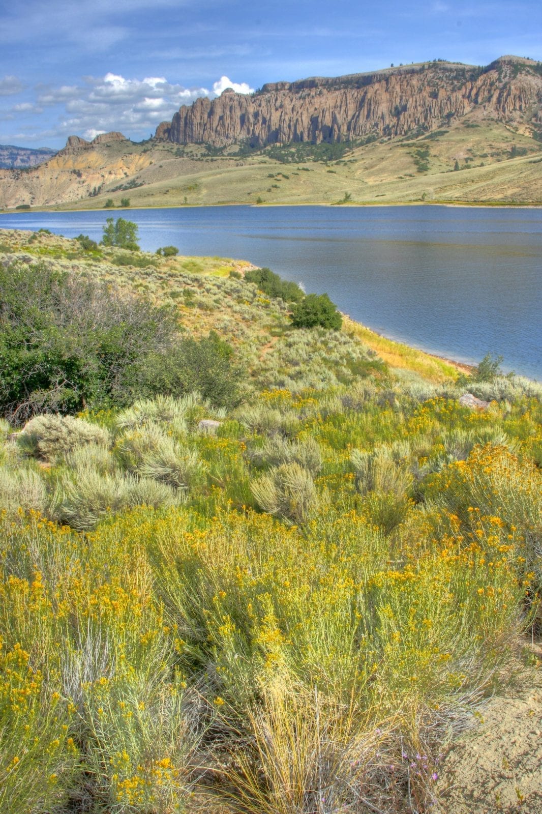 Camping near Gunnison and the Blue Mesa Reservoir, CO