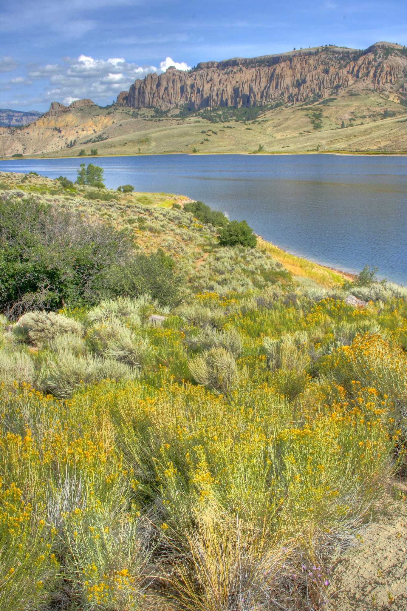 Gunnison CO Blue Mesa Reservoir