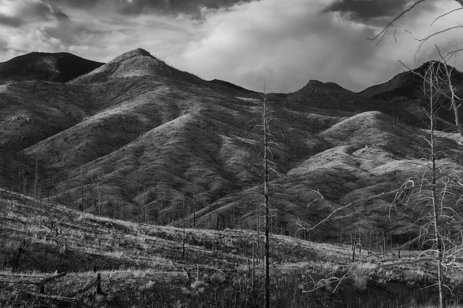 Hayman Fire Colorado Aftermath Mountain Scars