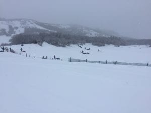 Hesperus Ski Area