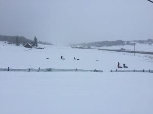 Hesperus Ski Area
