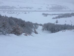 Hesperus Ski Area