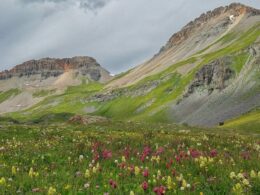 ice lake basin wildflowers