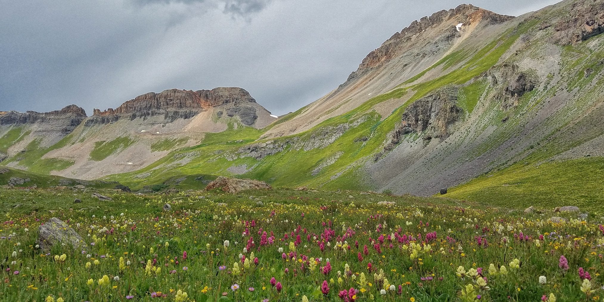 ice lake basin wildflowers