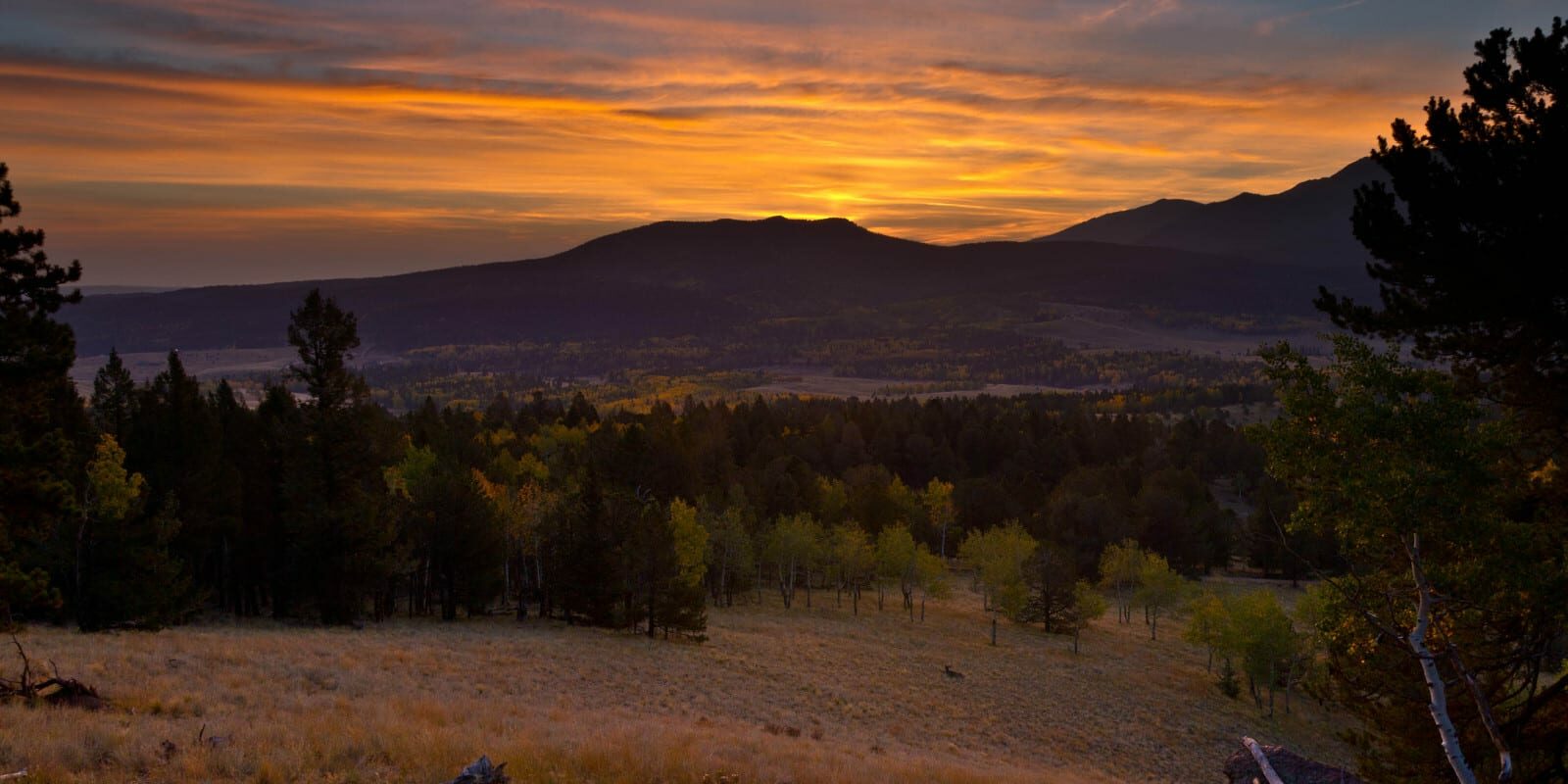 Mueller State Park View of Pikes Peak Sunrise