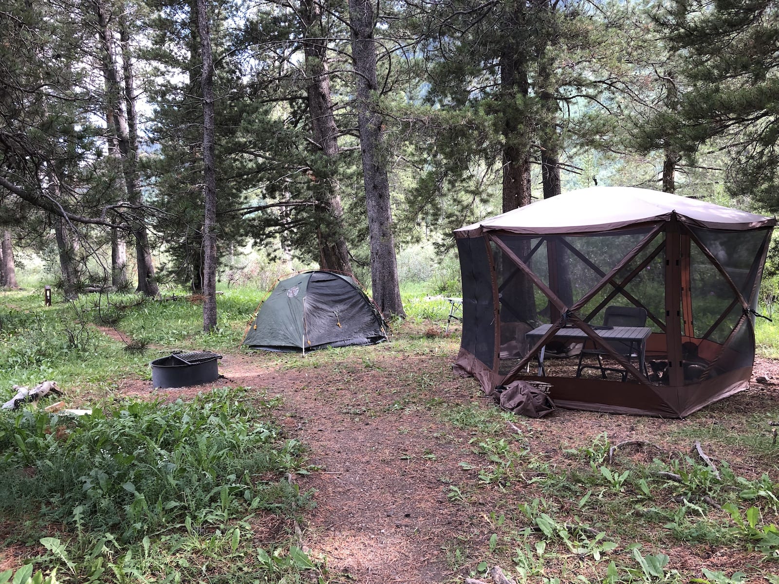 River Flats Campground Walk-In Tent Campsite