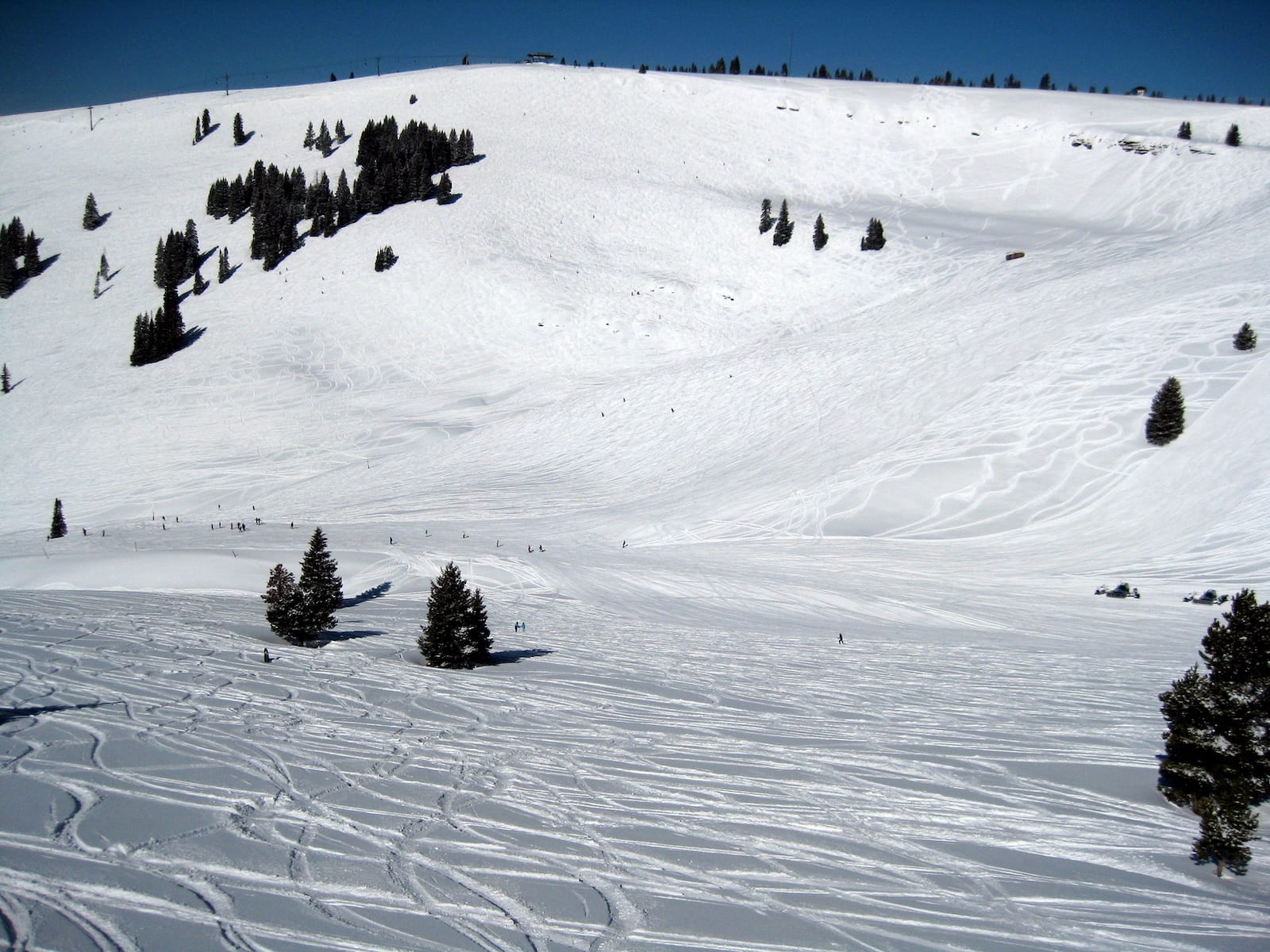 Vail Ski Resort Back Bowls