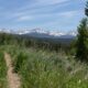 Winter Park Colorado Hiking Trail