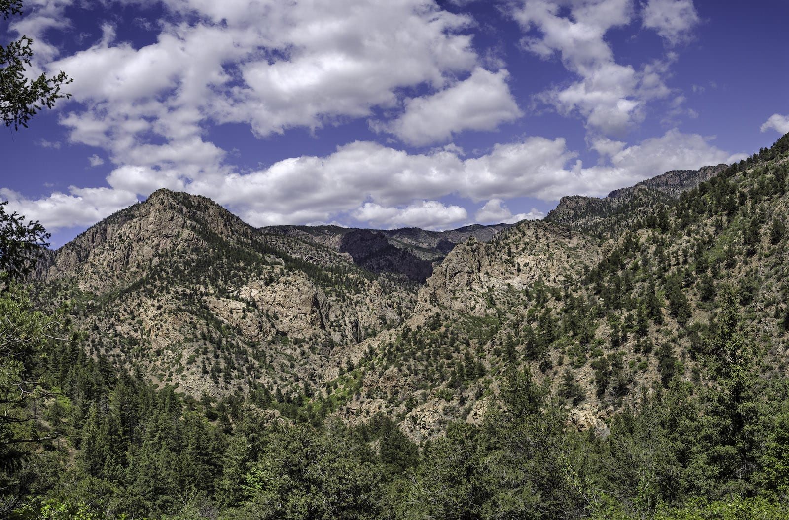 Beaver Creek State Wildlife Area, Colorado