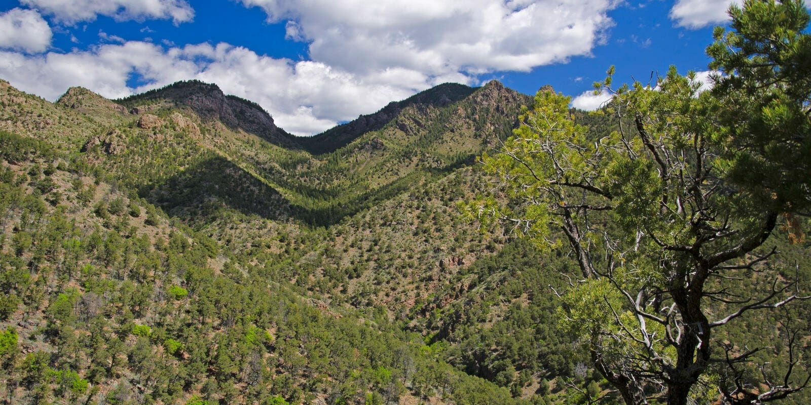 Beaver Creek State Wildlife Area, Colorado