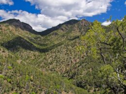 Beaver Creek State Wildlife Area, Colorado