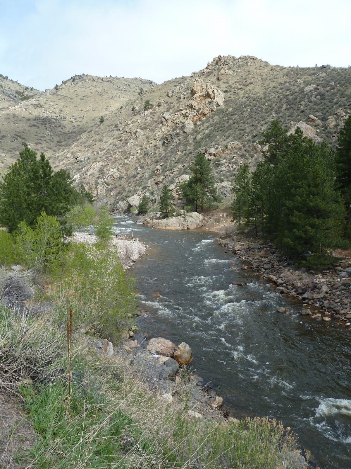 Cache La Poudre River, CO