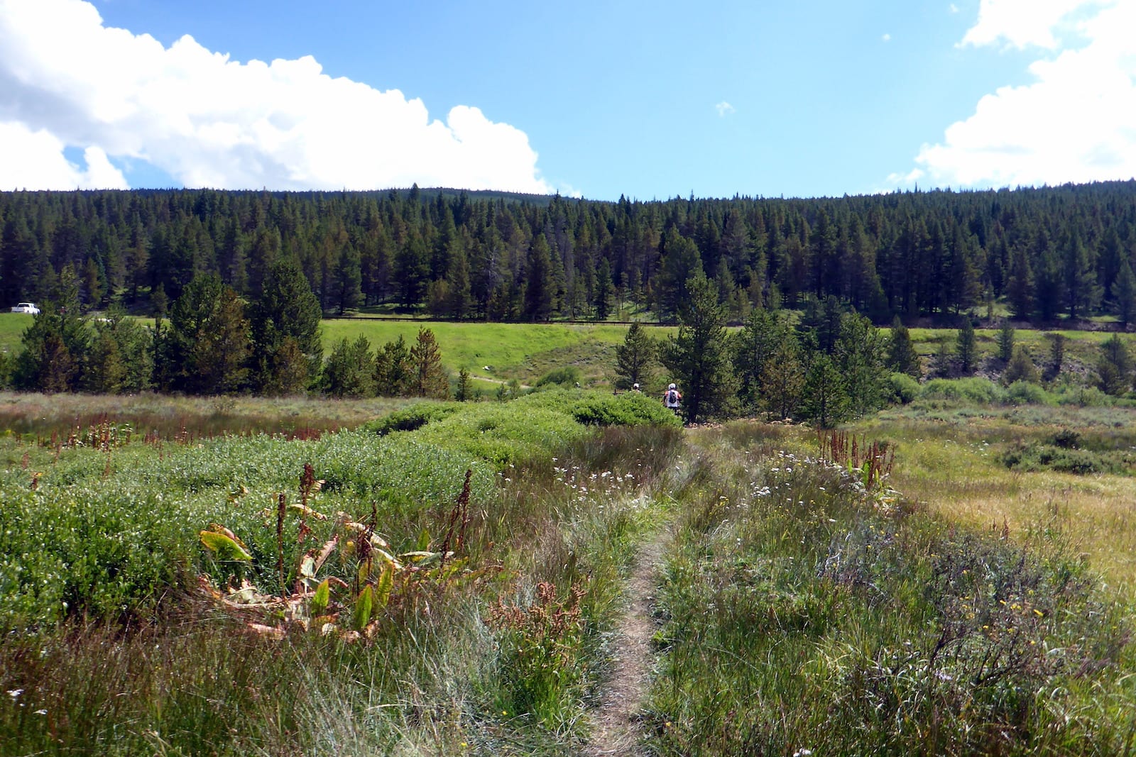 Crossing at Tennessee Pass, CO