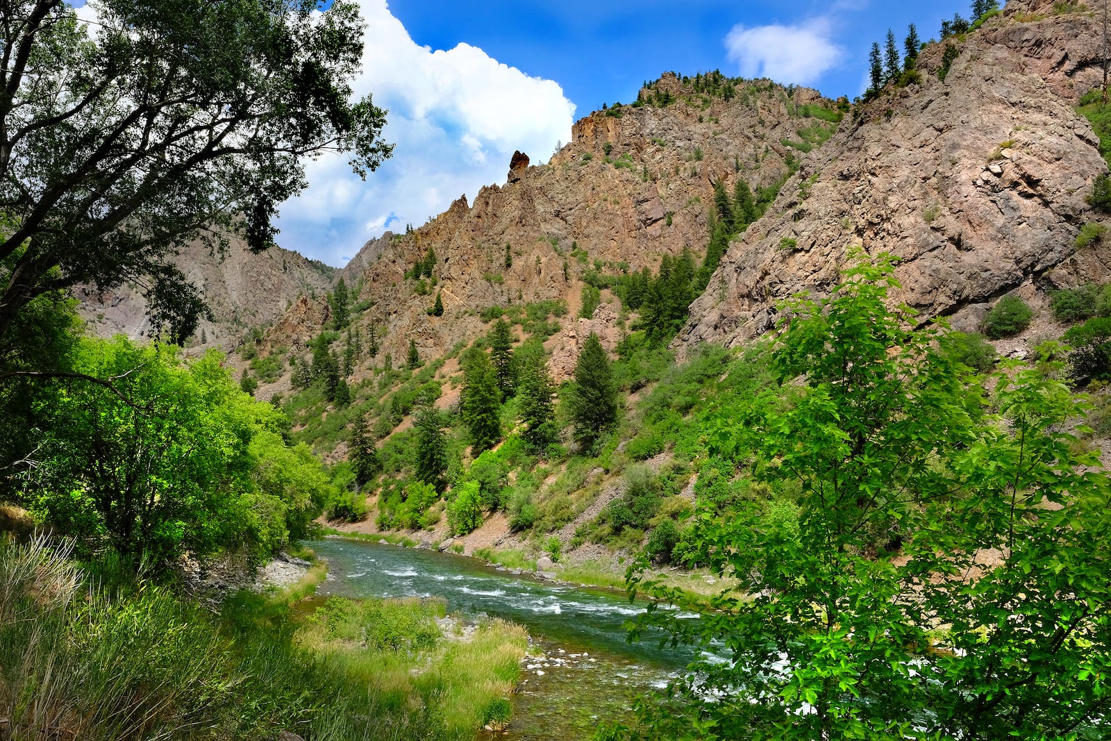 Gunnison River, CO