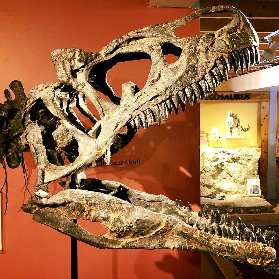Morrison Natural History Museum, CO
