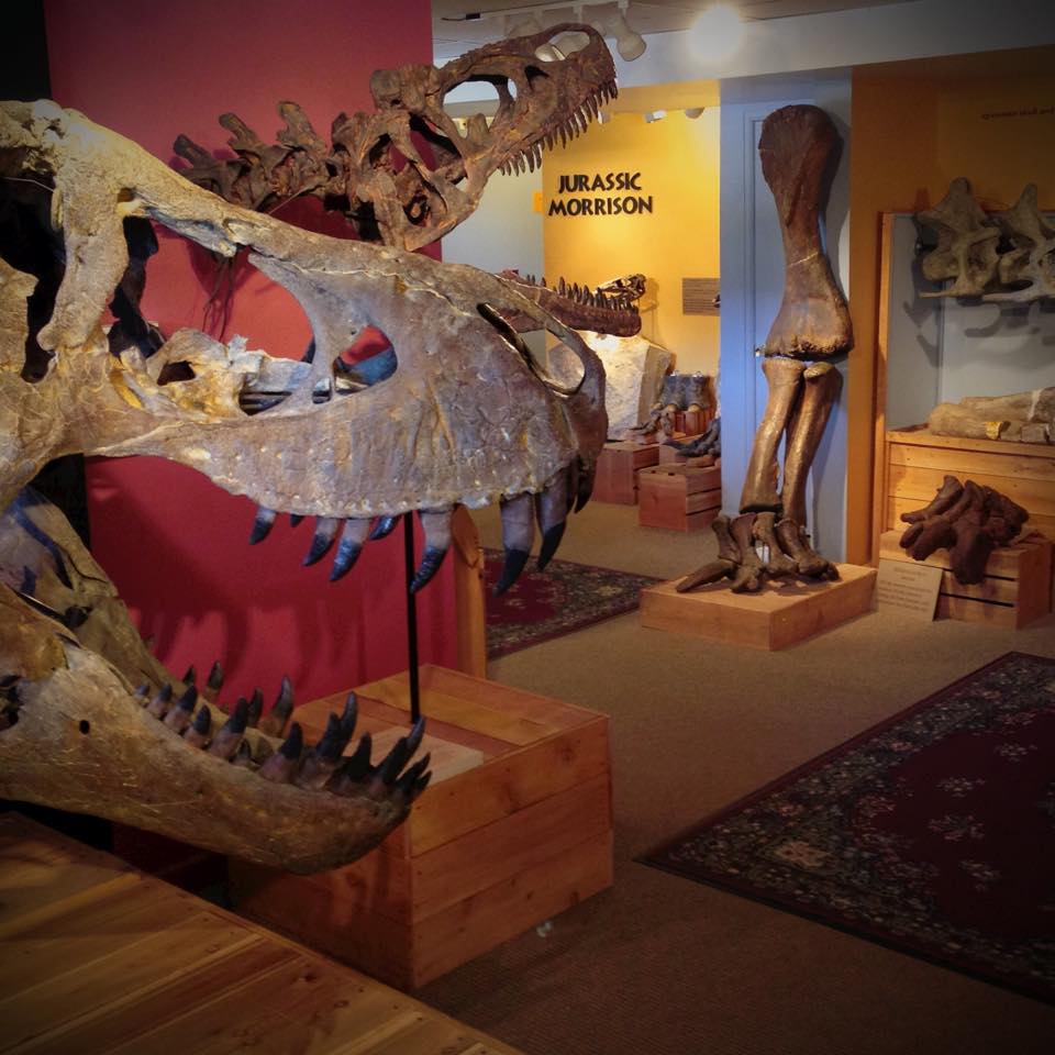 Morrison Natural History Museum, CO