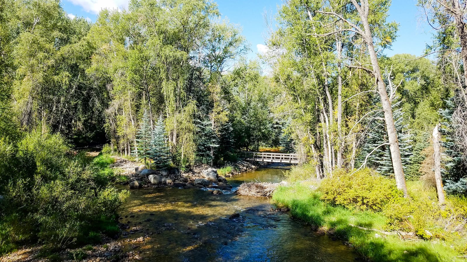 Roaring Fork River, CO