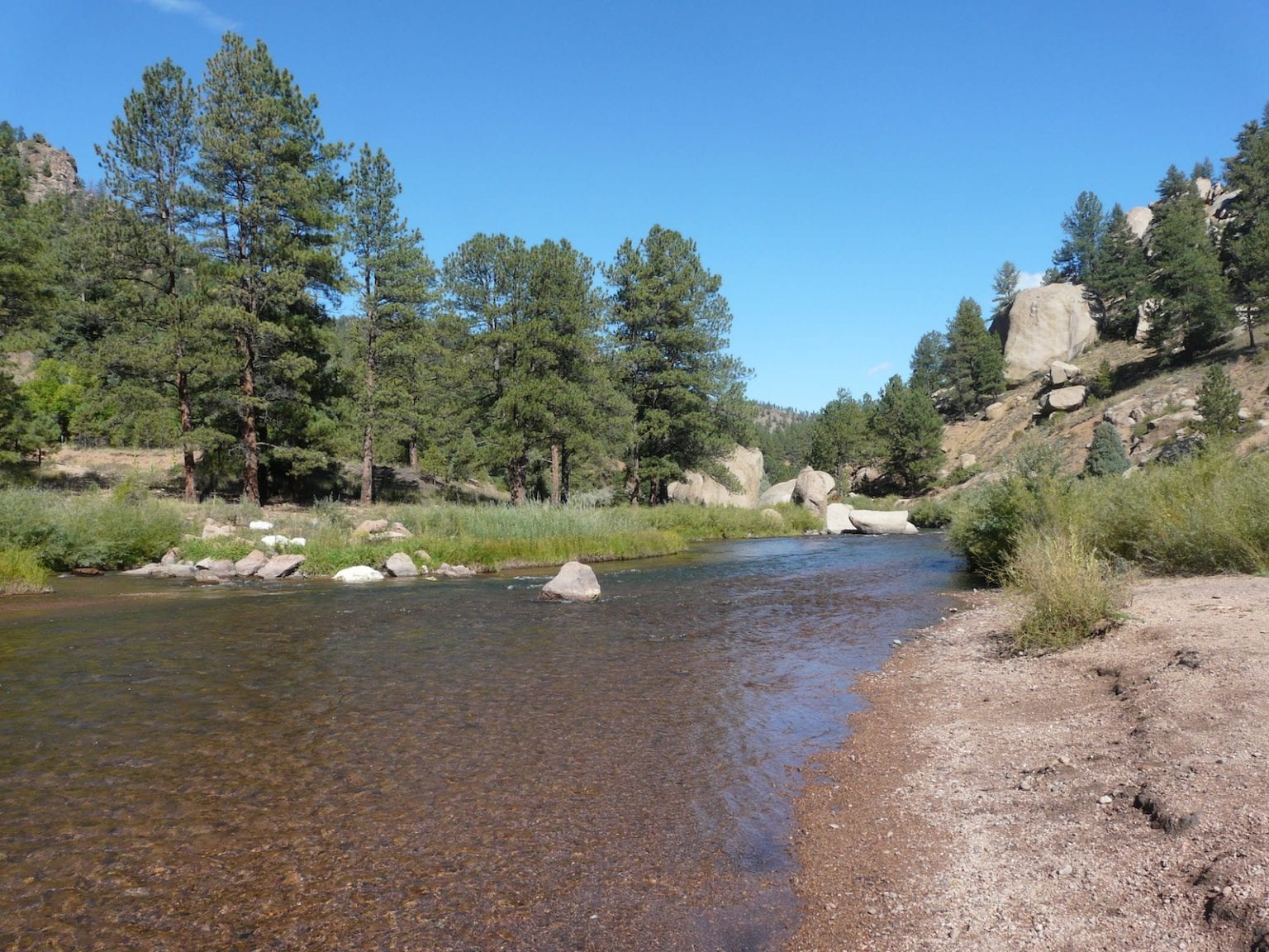 South Platte River Hartsel Denver CO Uncover Colorado