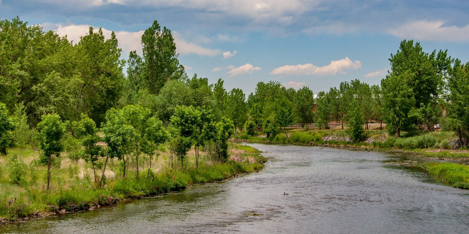 South Platte River in Littleton, Colorado