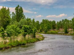 South Platte River in Littleton, Colorado