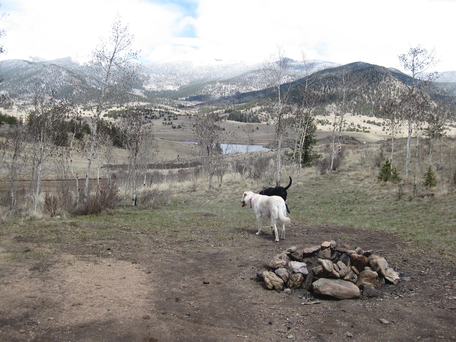 Tarryall Reservoir State Wildlife Area, CO